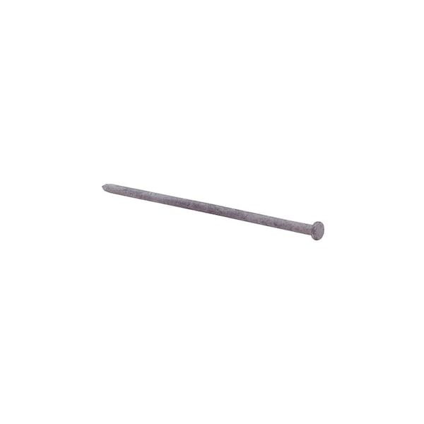 Common Nail, 8 in L, 100D, Steel, Hot Dipped Galvanized Finish